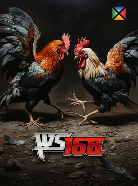 WS 168 CockFighting